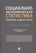 Социально-экономическая статистика: Примеры, задачи, тесты. Учебное пособие