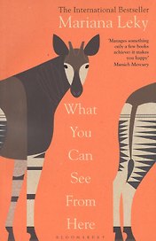 What You Can See From Here