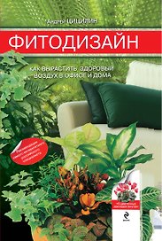 Фитодизайн: как вырастиь здоровый воздух в офисе и дома