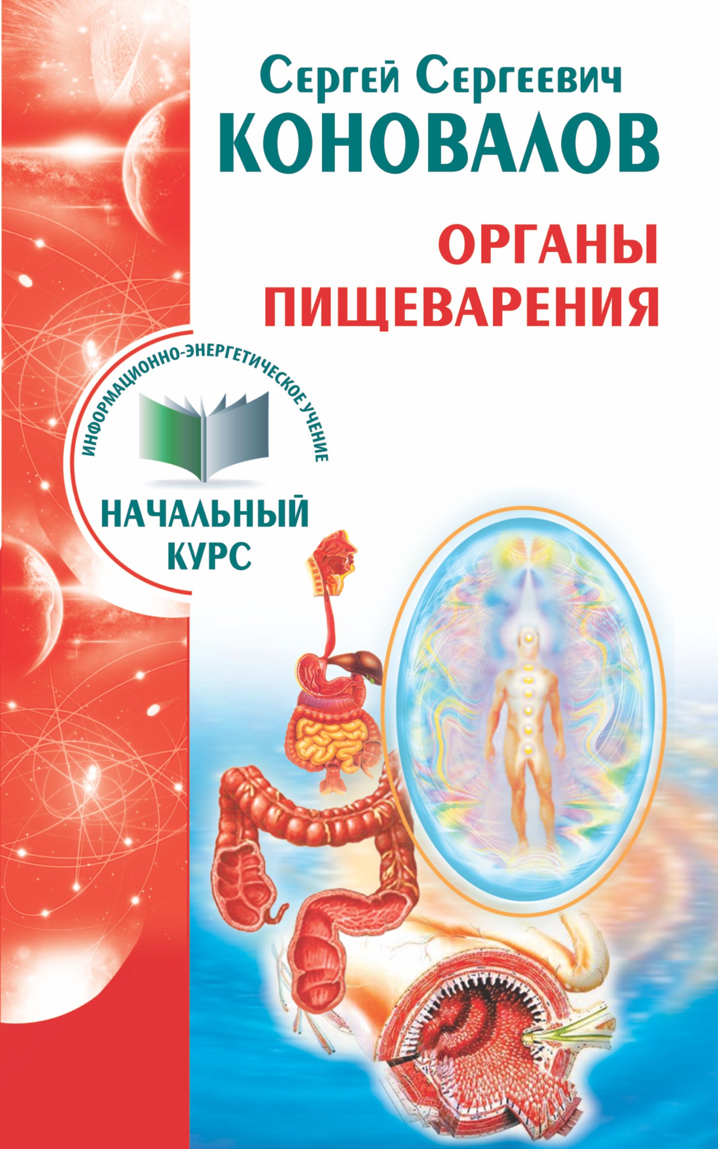 

Органы пищеварения