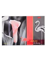 Альбом для рисования Hatber, "Изысканность цвета", А4, 20 листов, на скрепке