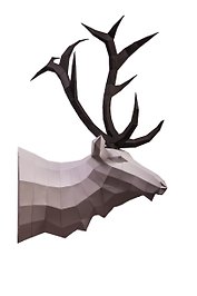 Набор для сборки полигональных фигур: Лось (Белый)