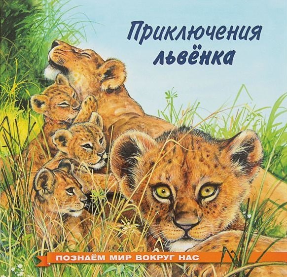 

Приключения львёнка