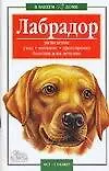 Лабрадор (мВВД)