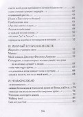 Внутри звездопада. Стихи - 2
