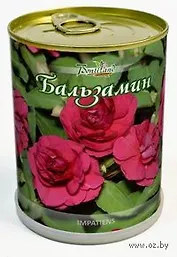 Цветок в банке "Бальзамин" (410503)