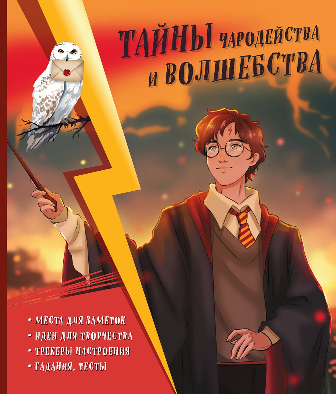 Дневники. Анкеты  Буквоед Тайны чародейства и волшебства. Книга творчества и вдохновения (Гарри)