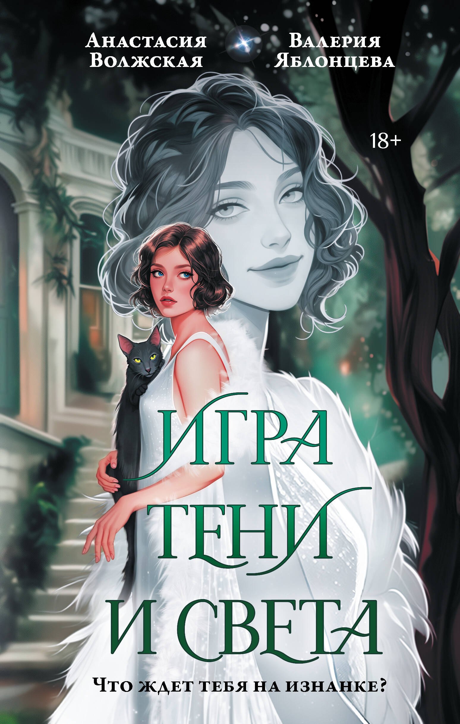   Буквоед Игра тени и света