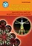 Энергетическое исцеление: диагностика, массаж, медитации, способы защиты - 0