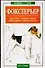 Фокстерьер: Кормление, стандарт породы, выбор щенка, собачья аптека - 0