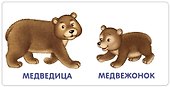 Книжки-картонки. Животные и детеныши - 1