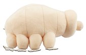 Мягкая игрушка Насекомое (тихоходка) (24 см) (12-00960-T1) - 1