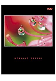 Тетрадь общая «Morning dreams», 80 листов в клетку, А5, в ассортименте - Hatber