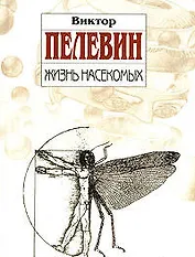 Жизнь насекомых