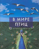 В мире птиц