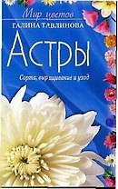 Астры сорта выращивание и уход