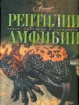 Рептилии. Амфибии