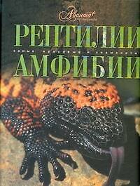 Рептилии. Амфибии