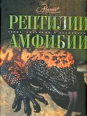 Рептилии. Амфибии