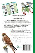 Птицы России.Определитель - 1