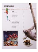 Стратегии выживания - 1