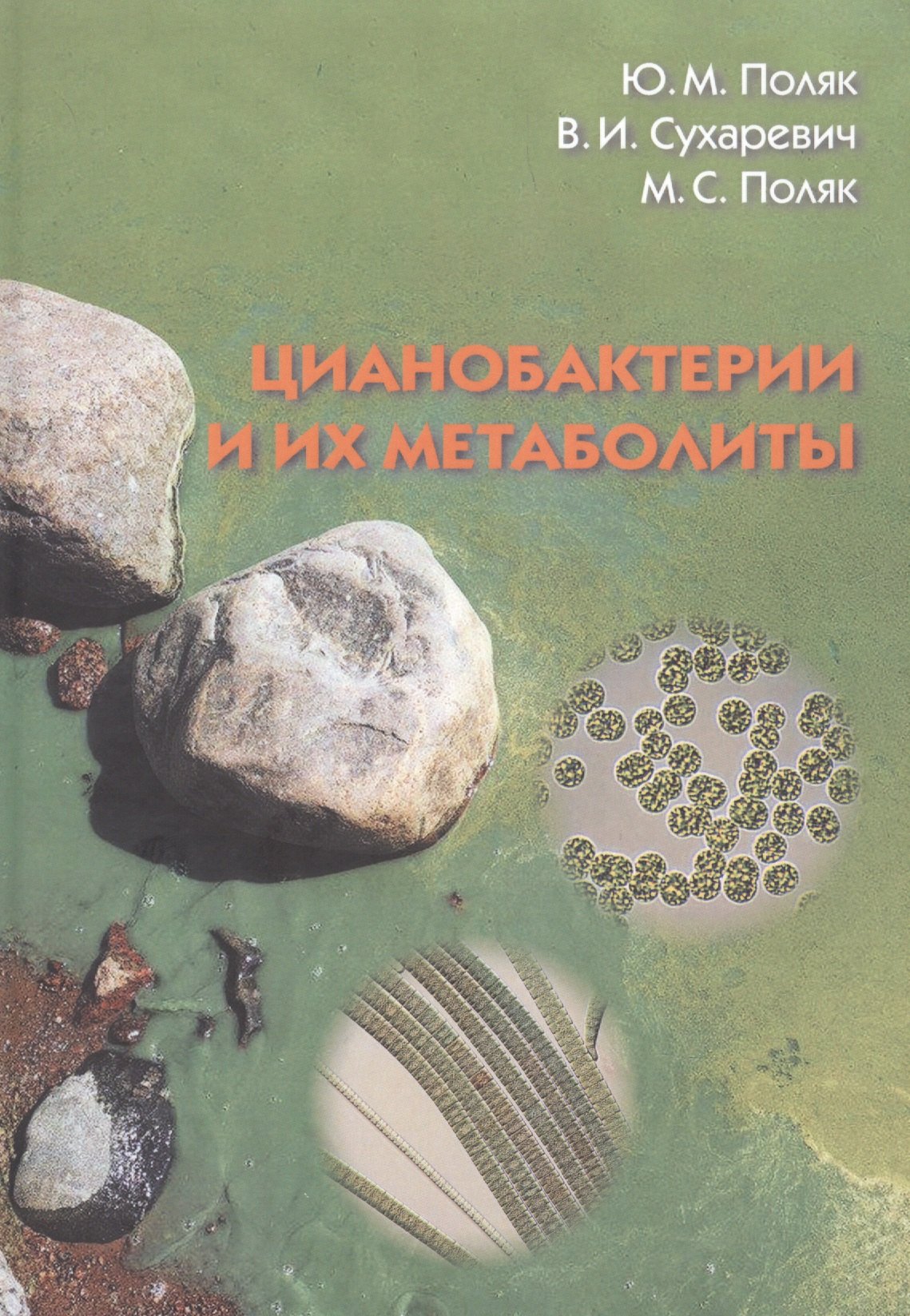 

Цианобактерии и их метаболиты