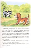 Котенок с улицы Лизюкова в Австралии - 2