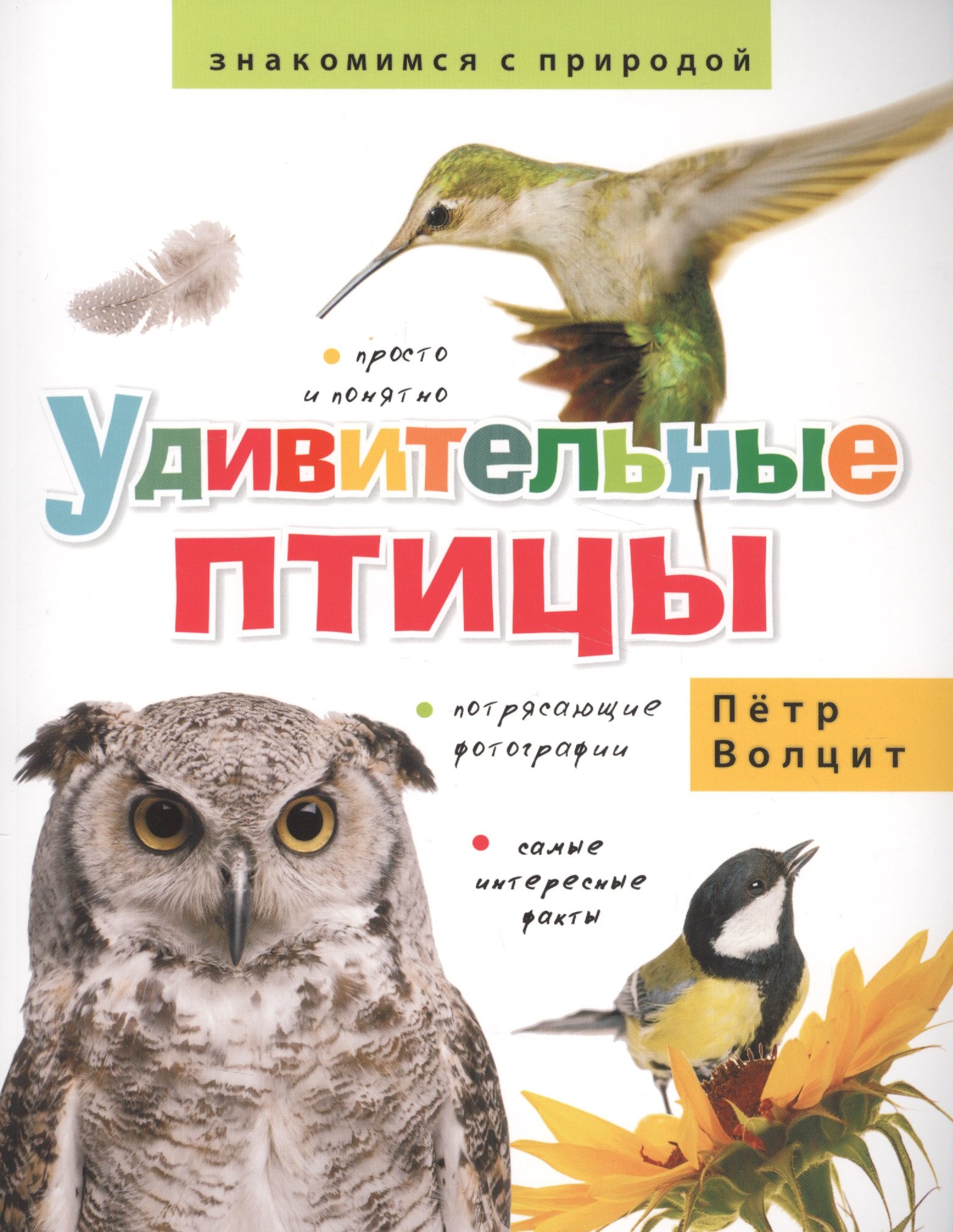 

Удивительные птицы