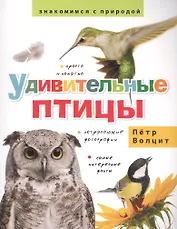 Удивительные птицы