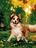 Алмазная мозаика "Весёлый бордер-колли", 30х40 см - 2