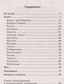 Беседы о грибах, мхах и лишайниках - 1