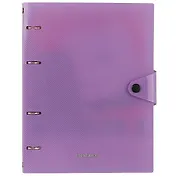 Тетрадь на кольцах в клетку Erich Krause, Vivid, 80 листов, в ассортименте