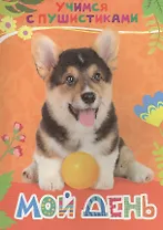 Мой день