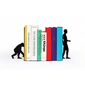 ФАЙНДИЗАЙН  Ограничитель для книг Evolution DHBEEVO