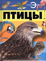 Птицы