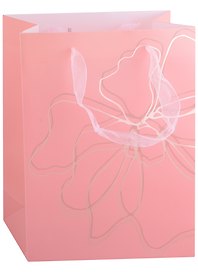 Пакет А5 25*19*8,5 "Pink print" жен., пластик