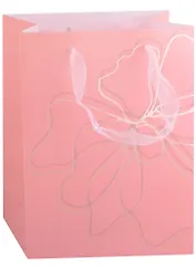 Пакет А5 25*19*8,5 "Pink print" жен., пластик