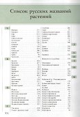 Энциклопедия пищевых растений от Авокадо до Ячменя (Остапенко) - 2