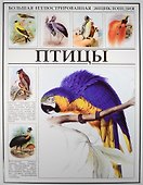 Птицы - 0