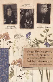 Старец Божий шел дорогой... Советы и поучения старцев 20-го века.