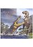 Dinosaur Art: The World's Greatest Paleoart - 0