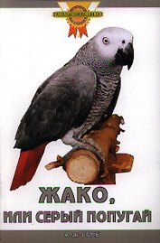 Жако, или Серый попугай. (цвет.)