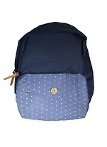 Рюкзак молодежный "СИНИЙ+ГОЛУБОЙ" 40*28*12см, карман, полиэстер, Феникс