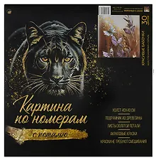 Картина-раскраска по номерам «Красивые бабочки», 40 х 40 см, с поталью, Рыжий Кот