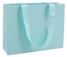 Пакет А5 27,5*21*8 "Mint"