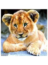 Алмазная мозаика MAZARI Львенок , 30х30см (рама 28.8х28.8 см) частичная выкладка, стразы разного размера