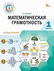 Математическая грамотность. 1 класс. Тетрадь-тренажёр