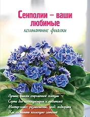 Сенполии - ваши любимые комнатные фиалки