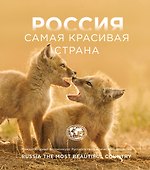 Россия самая красивая страна. Фотоконкурс 2025 - 0