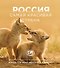 Россия самая красивая страна. Фотоконкурс 2025 - 0